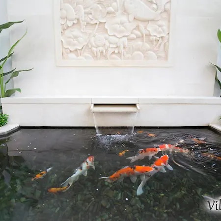 Villa Mia Seminyak - Boutique Villas - II-3